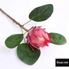 Rose Madder