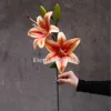 Lys à deux têtes
