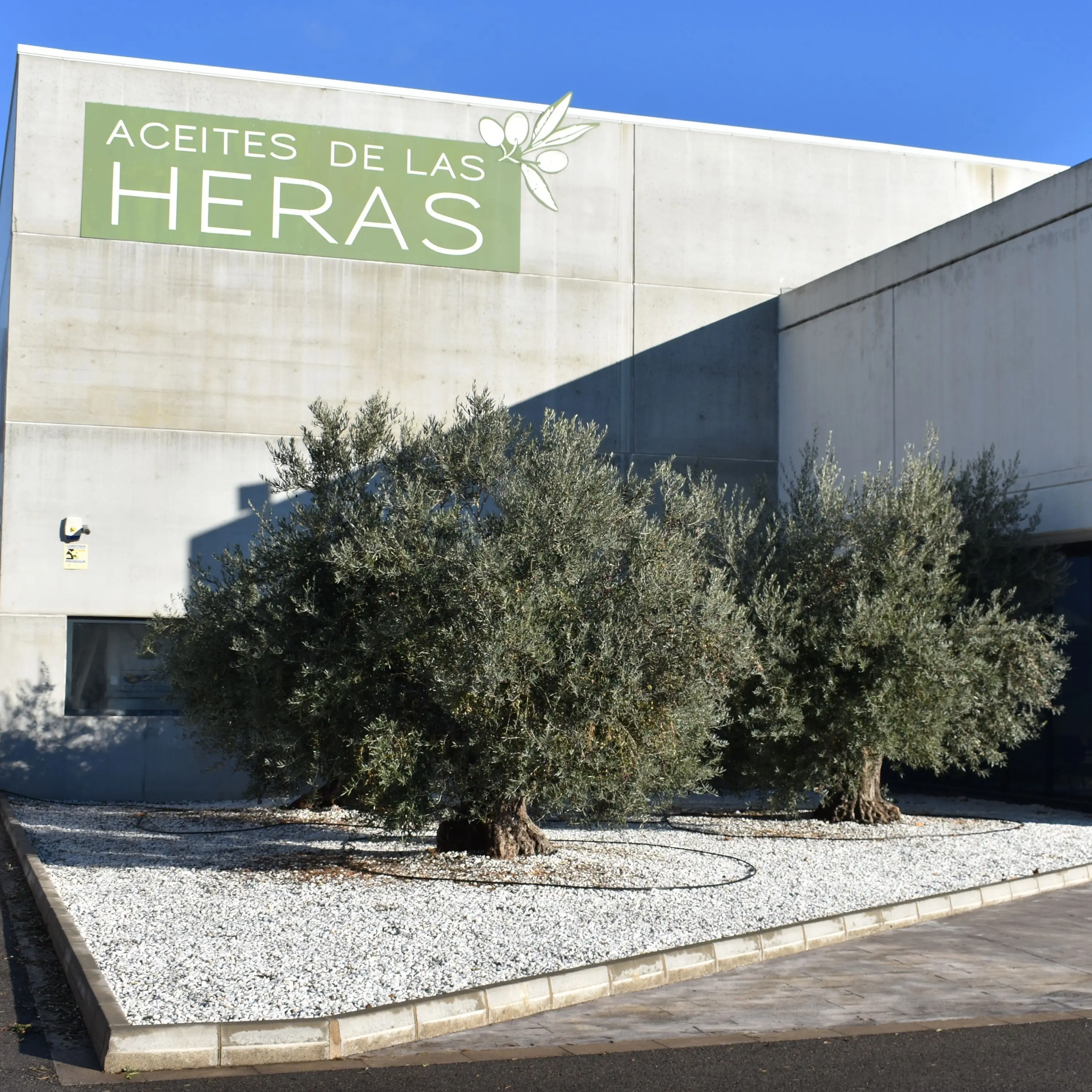 Собственная Марка оливковое масло Экстра девственницы 250 мл Стеклянная Зеленая Бутылка первая холоднопрессованная сделано в Испании