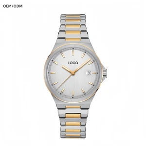 OEM Custom 43mm Sapphire Mirror Luxury Automatic Watch Stainless Steel Mechanical Watch with Super Luminous BGW9