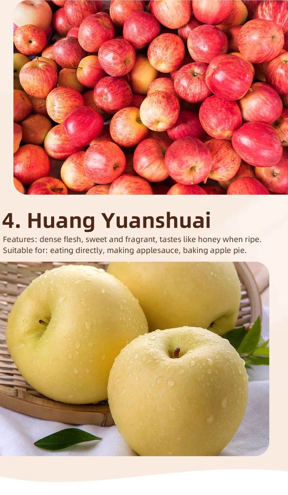 Organic FUJI Apples Clean Farming Seasonal Produce Fresh Sweet and Juicy Fruit