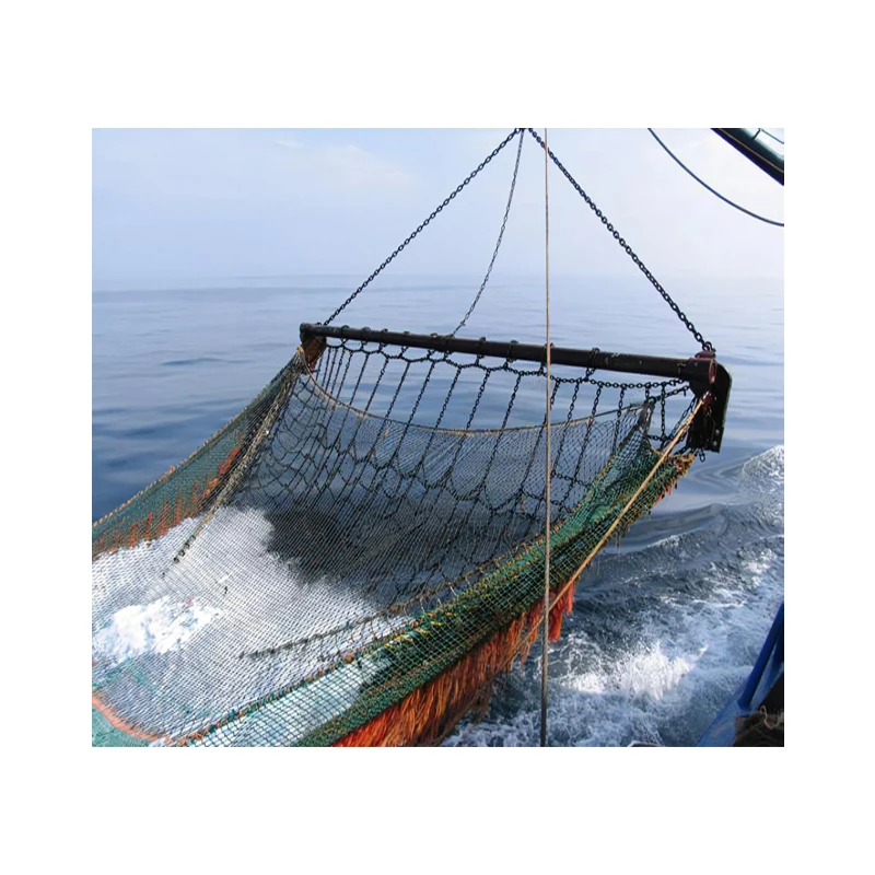 Rete Da Pesca Telescopica Per Acquario - Manico In Acciaio Inox Estendibile Da 19 A 50 Cm - Foto 9