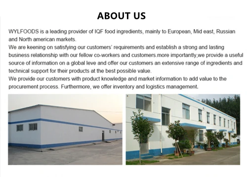 About Us