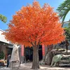 árbol de arce