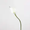 Blanc - 50CM