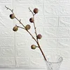 7-headed bell-shaped fruit, gradient red