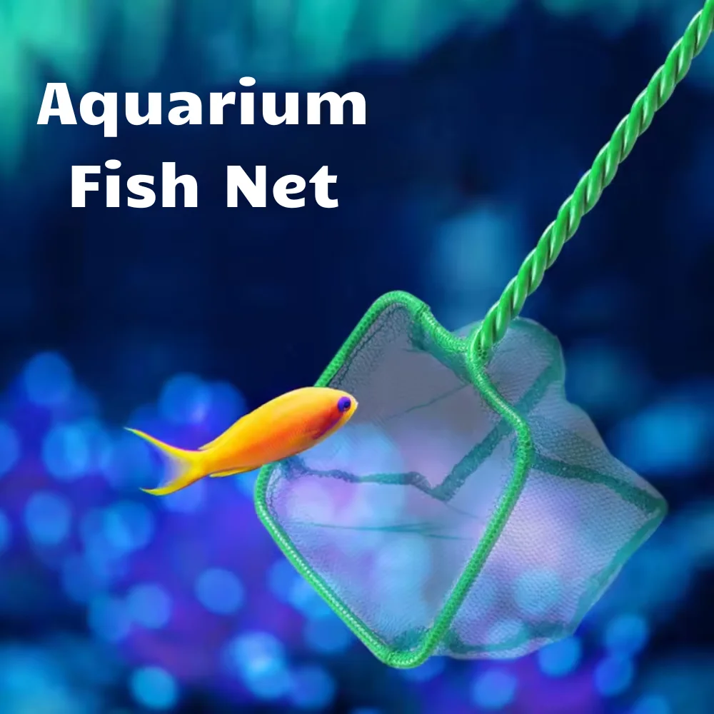 12 Inch Large Nylon Fishing Catch Net with Soft Fine Mesh Various Sizes Square Fish Net 12 Inch Large Nylon Fishing Catch Net with Soft Fine Mesh Various Sizes Square Fish Net