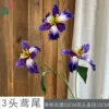 3-headed Iris XY, deep purple