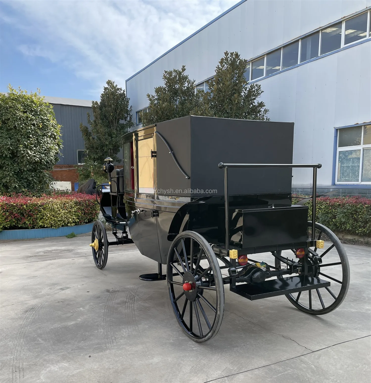 American's Favorite Electric Buggy/black Sightseeing Horse Carriage For