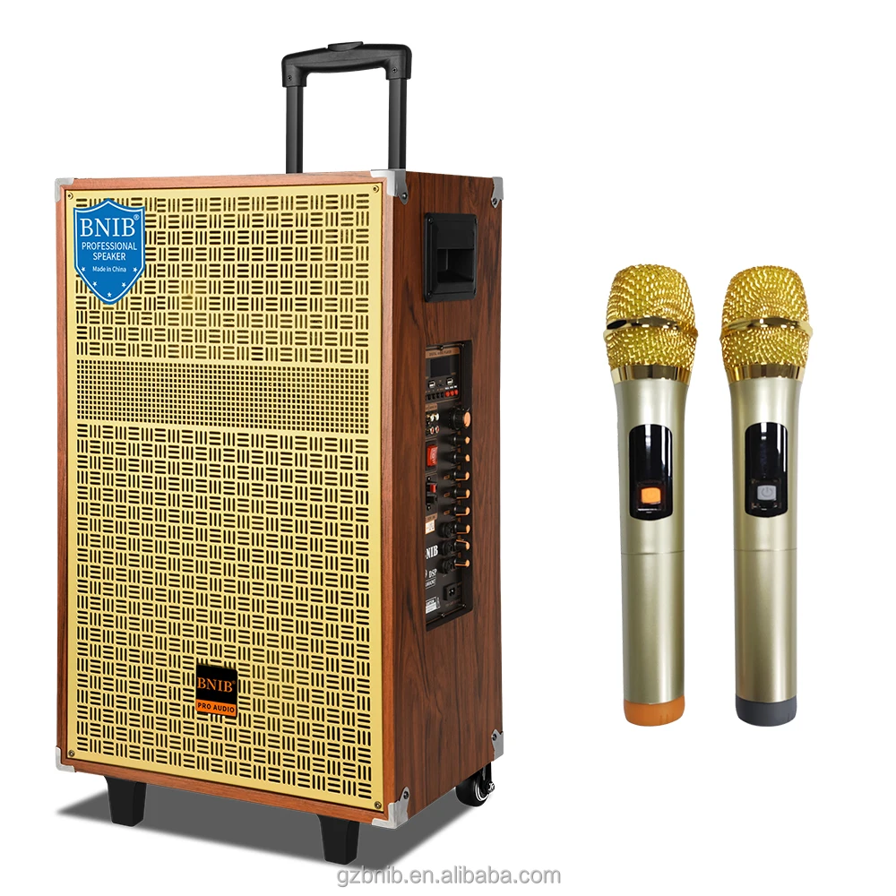 Деревянная акустическая система беспроводной OEM колонки Tws аудио звука караоке 12 дюймовый динамик для Dj вечеринки отдыха на открытом