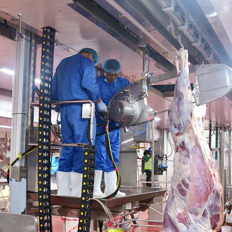 550 cow slaughtering equipment slaughtering machine slaughterhouse poultry