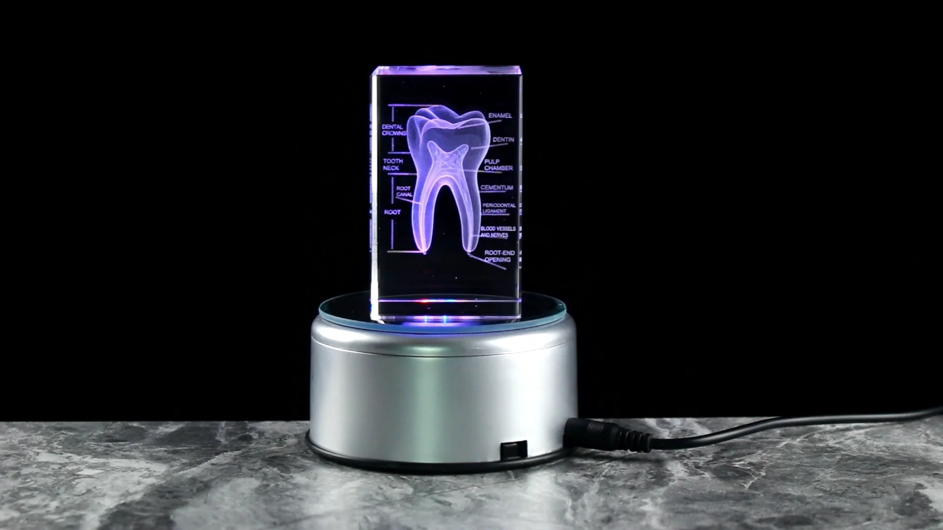 Gebissクリスタルの3D解剖学 - オリジナル3Dクリスタル - 3D義歯 3D Crystal Teeth Engraved Cube Anatomy Model - Ideal Souvenir for