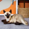 Il gatto siamese mente