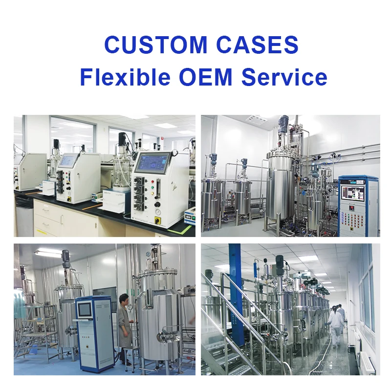 Lab Scale Fermentation Bioreactor Fermenting tank for Solid Phase and Semi-liquid Cultivator Benchtop Bioreactor Plant Cell