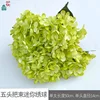 Five-headed Mini Hydrangea WZT Green