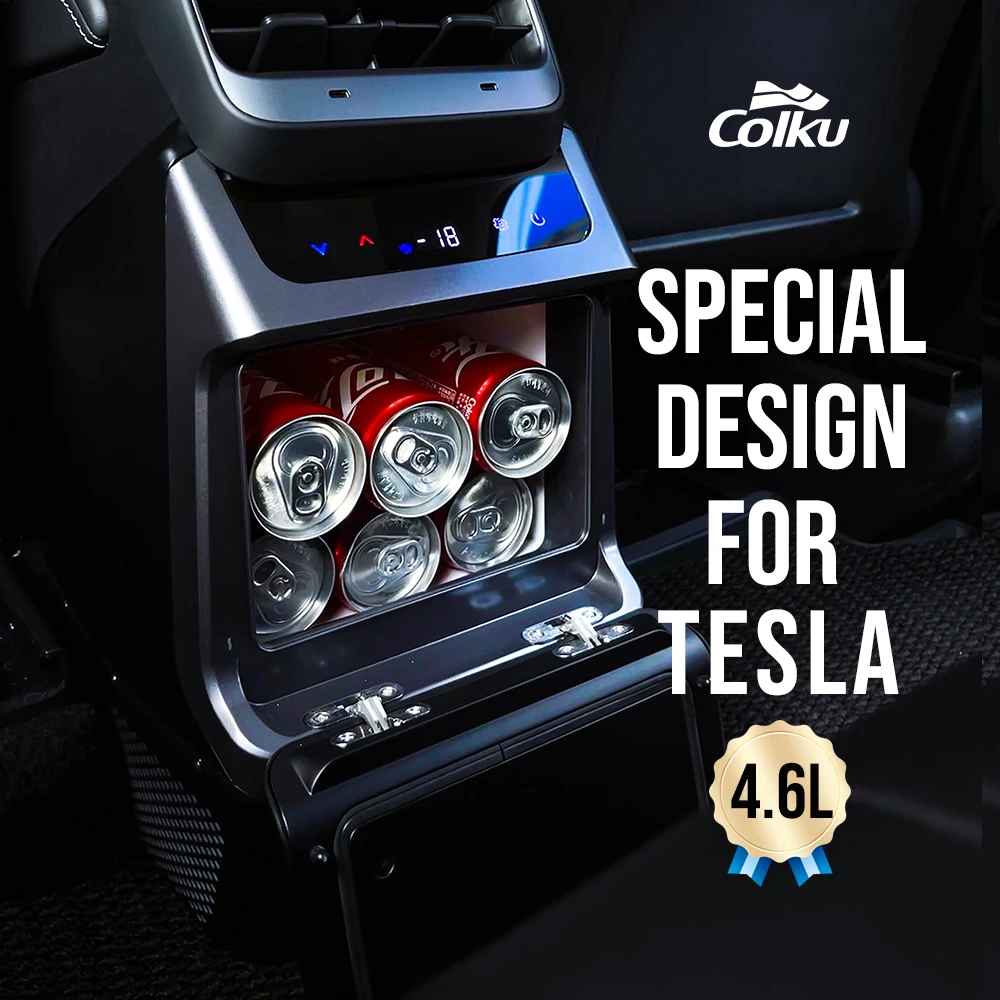 Specialized Design 4.6l 12v/24v Mini Car Fridge With Cooling And