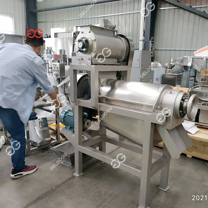 Cucumber Juice Squeezing Machine Pineapple Juice Plant Machine Manufacturing Apple Juice Making Machine for Sale