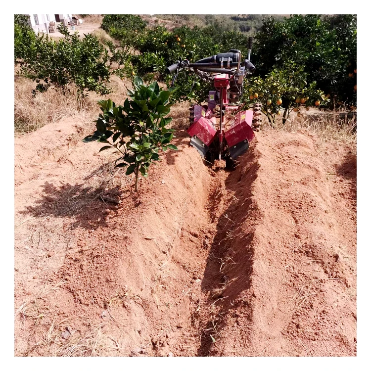 Easy Operation Professional Mini Power Tiller Power Weeder Rotavator Cultivator for Sale