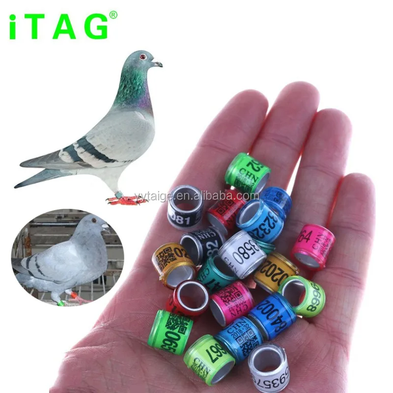 100pcs bird bands pigeon ring customized all plastic round name phone 8mm 10mm 