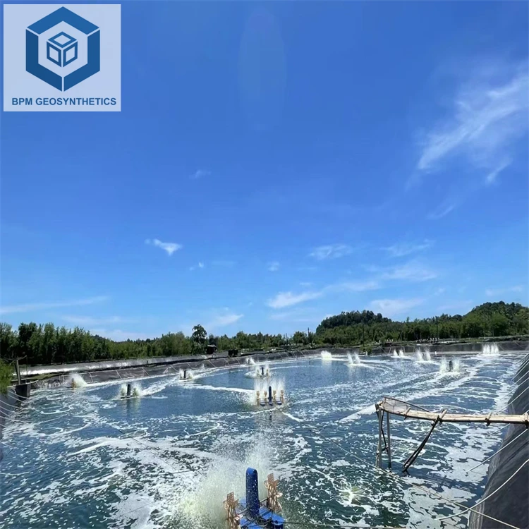 HDPE Geomembrane Liner 1mm HDPE Hydrogen Tank Liner