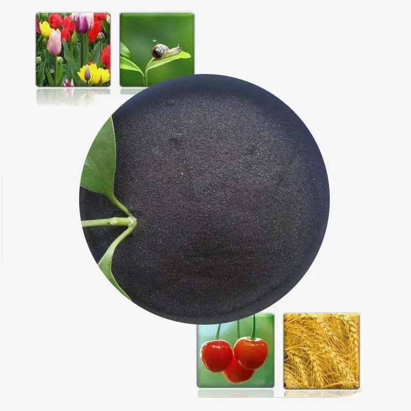 Beacon 68514-28-3 Potassium Humate Fertilizer of Potassium Fertilizer Like High Fertiliser Rich Organic Potash k for St