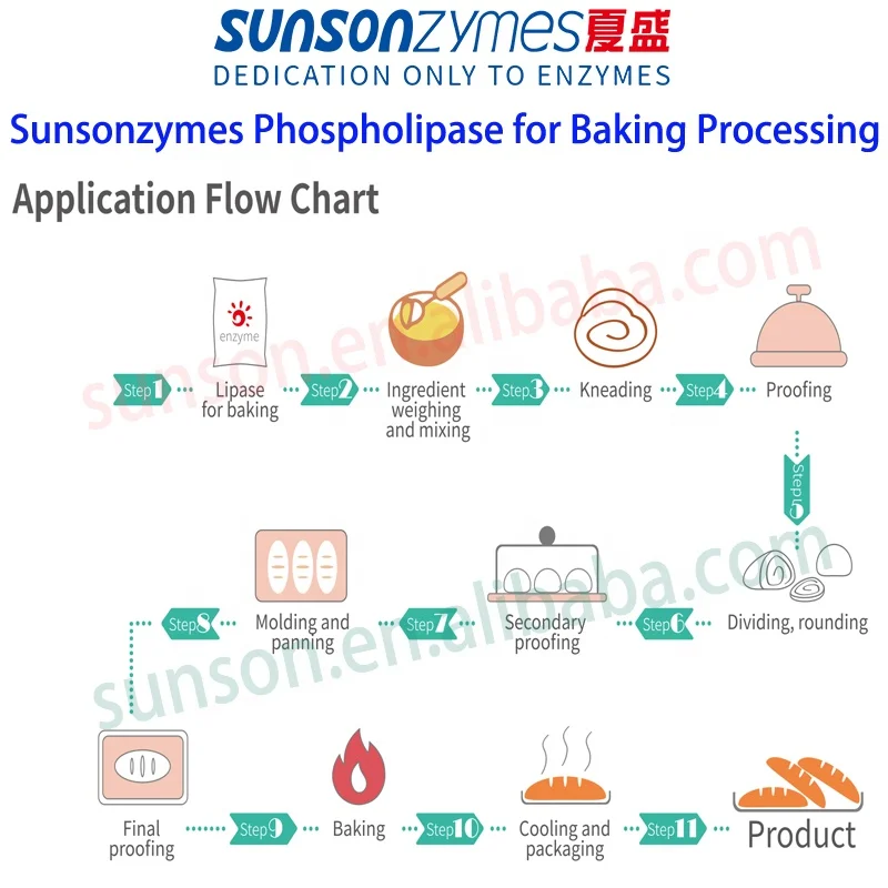 Phospholipase Enzyme Powder for Baking, Increasing Flour Products Whiteness, Dough Strengthening, and Fine Texture