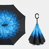 Marguerite bleue