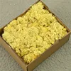 Yellow 4