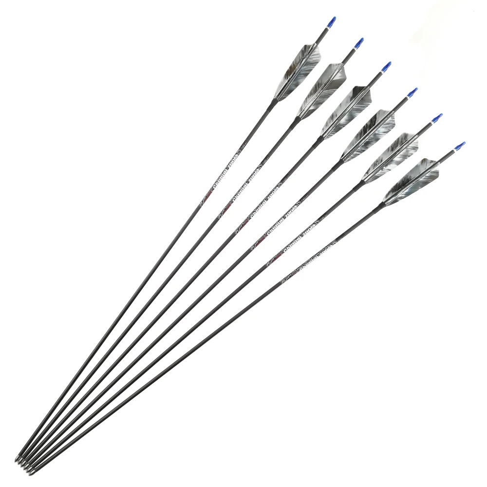 12 Flèches Carbone 30 Pouces Arc Recourbé Flèche De Chasse En Carbone