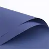 9-Bleu jazz