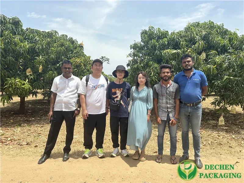 Mango Fruit Cover Mango Pear Growing Protection Bag Agriculture Wax Coated Paper Sac De Fruit Flexo Printing