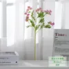 Tige unique de 20 marguerites - rose foncé