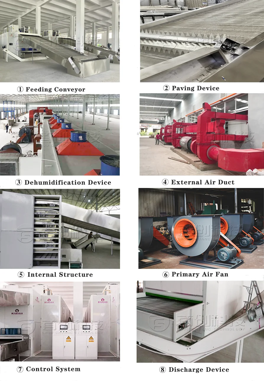 Automatic Stainless Steel Sea Vegetable Mesh Belt Dryer Pump High Efficiency Low Consumption Food Processing Seaweed Drying