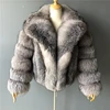 blue Silver fox