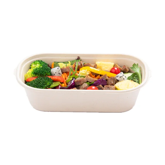 ECO-Friendly Extra Strength White Bagasse Cake Plates Biodegradable and Disposable