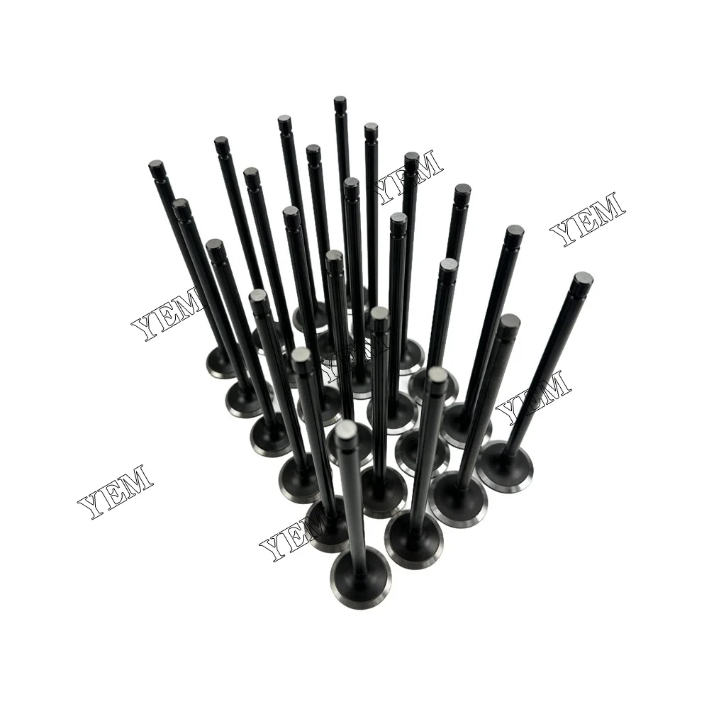 Exhaust and Intake Valve Fits for Hyundai D6CA OEM Engine Parts 4
