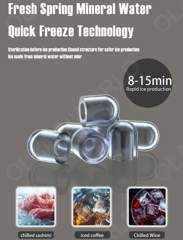 W91 ice maker (3).jpg