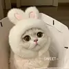 Rongrong Rabbit