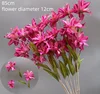 Lilium brownii
