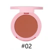 Powder blush 02