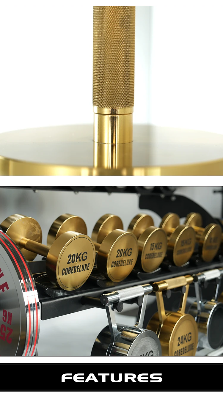 Coredeluxe Pro Bronze Dumbbells Buy Fine Solid Steel Pro Bronze