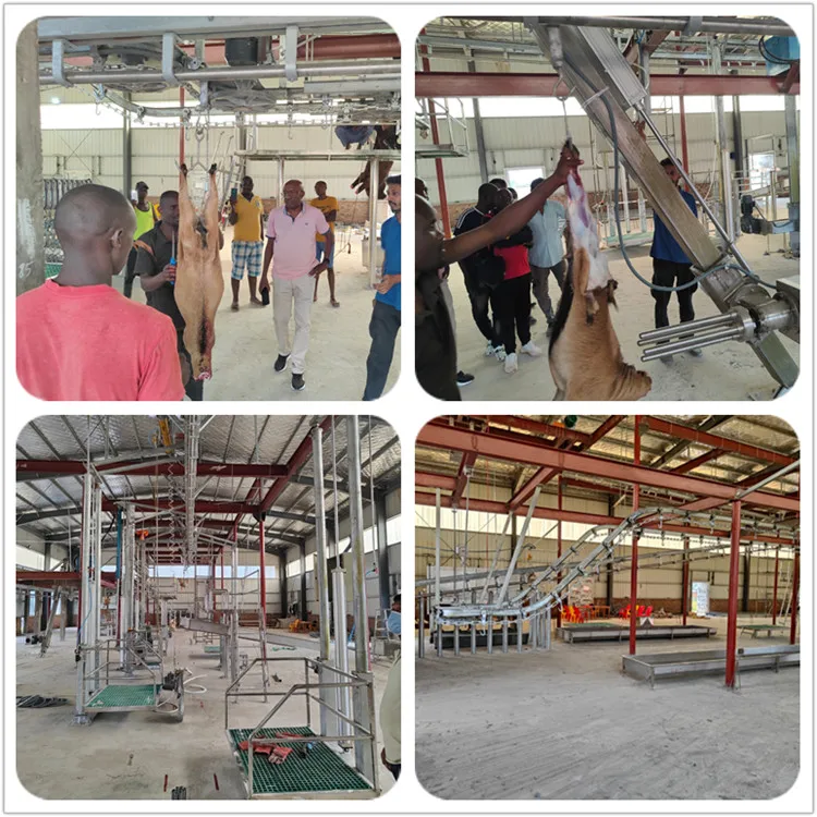 Halal mutton slaughterhouse equipment for mutton slaughterhouse meat processing slaughter conveyor