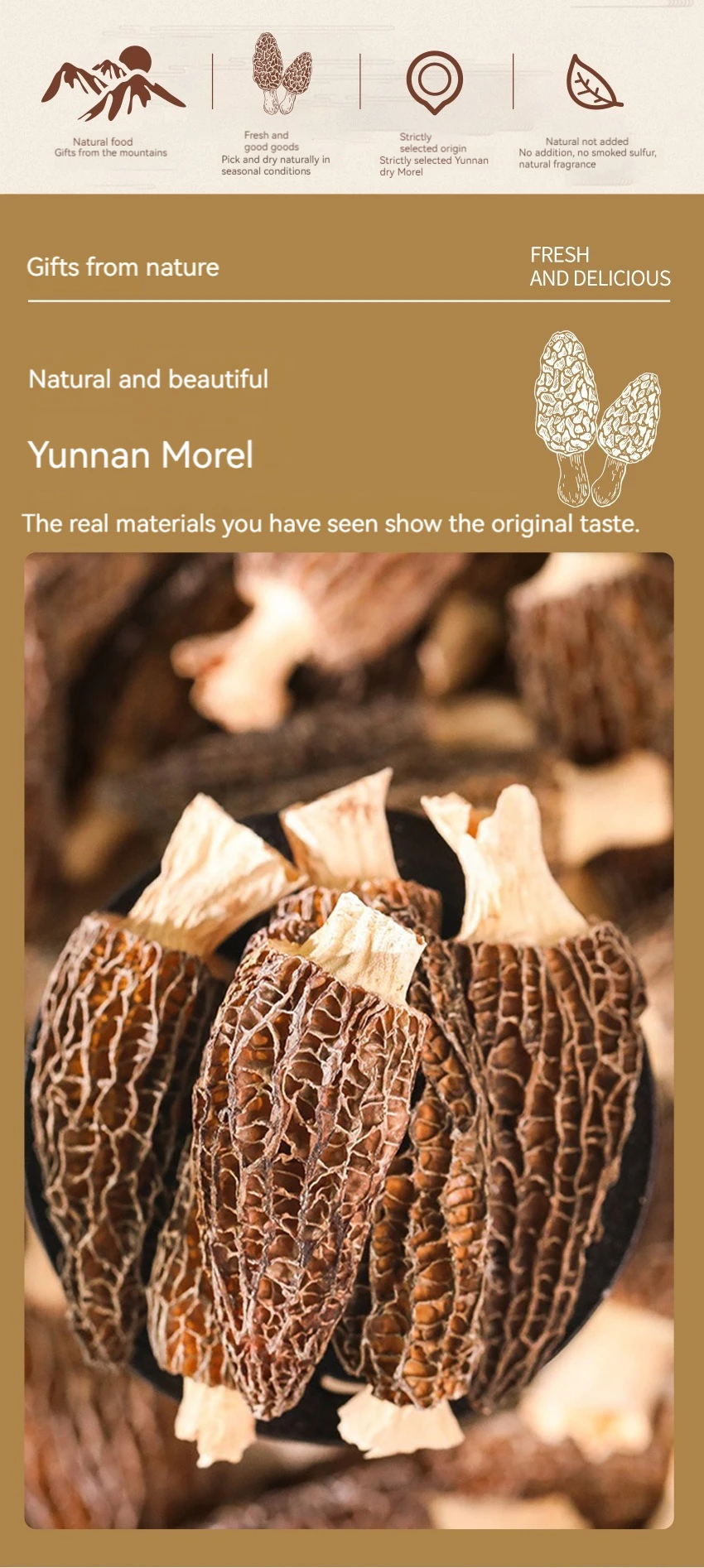 Black Morel Mushroom Dried Wild Morels For Sale Buy Dried Wild Morels