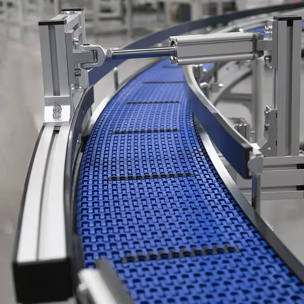 Modular Belt Conveyor with PP Belt and 304 Stainless Steel Frame