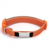 Orange XS