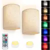 สี RGB 10%-100%
