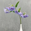 viola chiaro