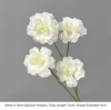 Fiori a palloncino bianchi a 4 steli