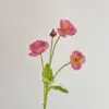 Rose foncé