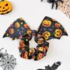 Pipistrello zucca nera